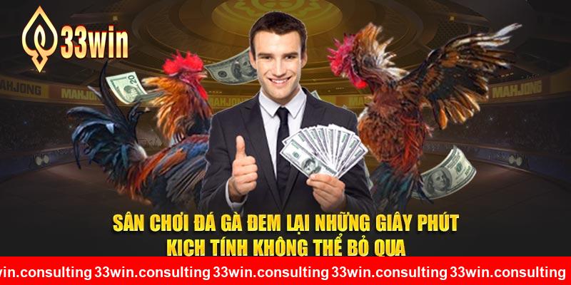 Sân chơi đá gà đem lại những giây phút kịch tính tại 33WIN